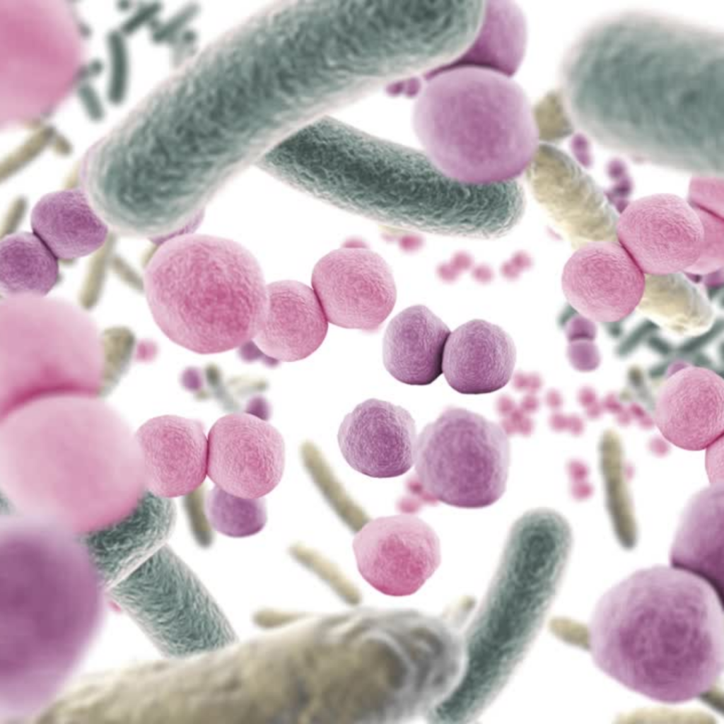 Visual insight into a microbiome