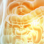 How to Improve Gut Microbiome