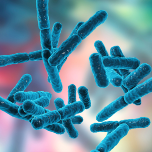 Cluster of blue rod-shaped Bifidobacterium probiotic bacteria shown in a 3D scientific illustration
