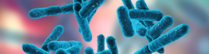 3D illustration of blue rod-shaped Bifidobacterium probiotic bacteria on a soft pink and blue background